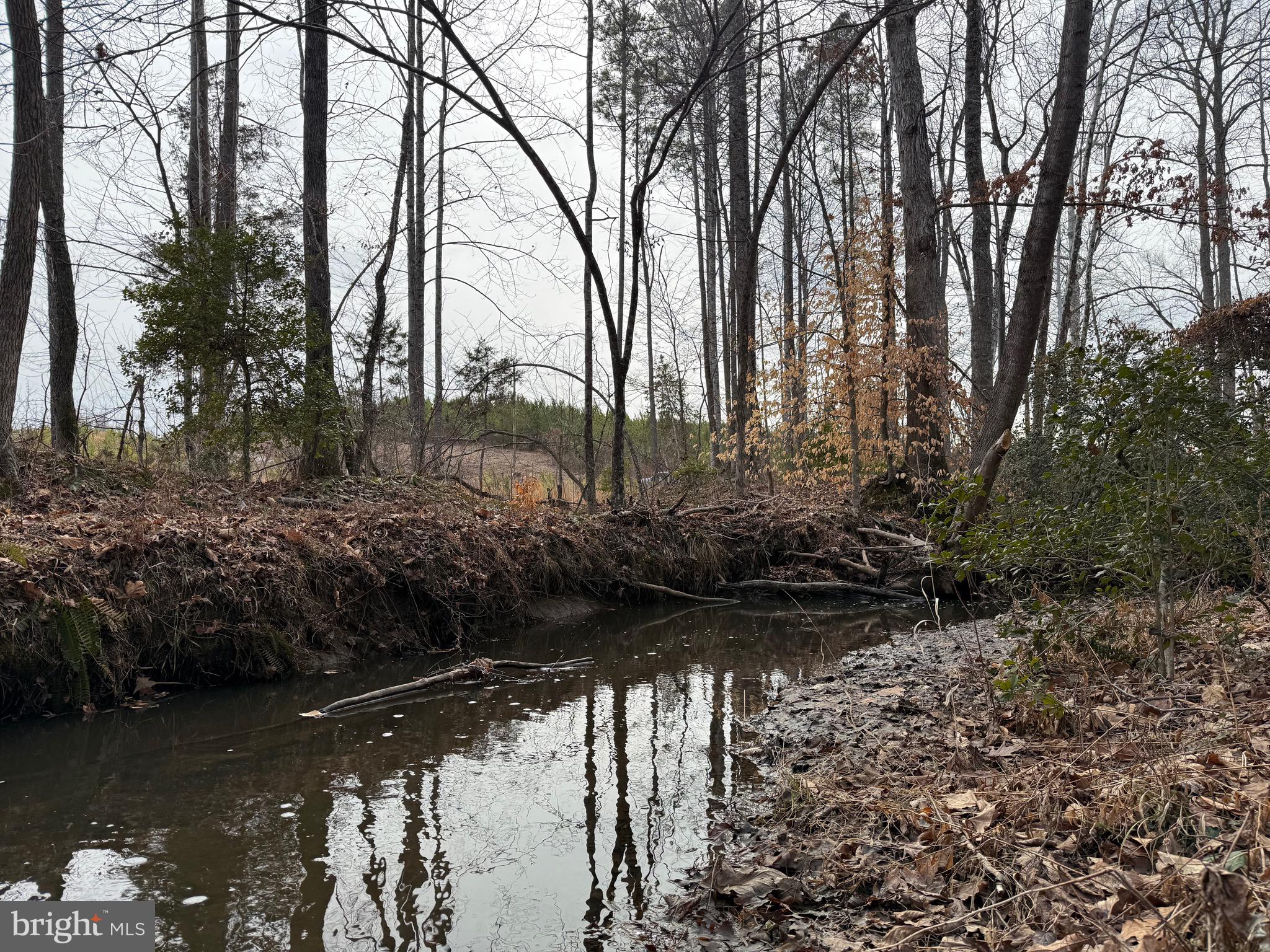 1 Community House Road Kents Store, VA 23084 - Photo 12 of 46