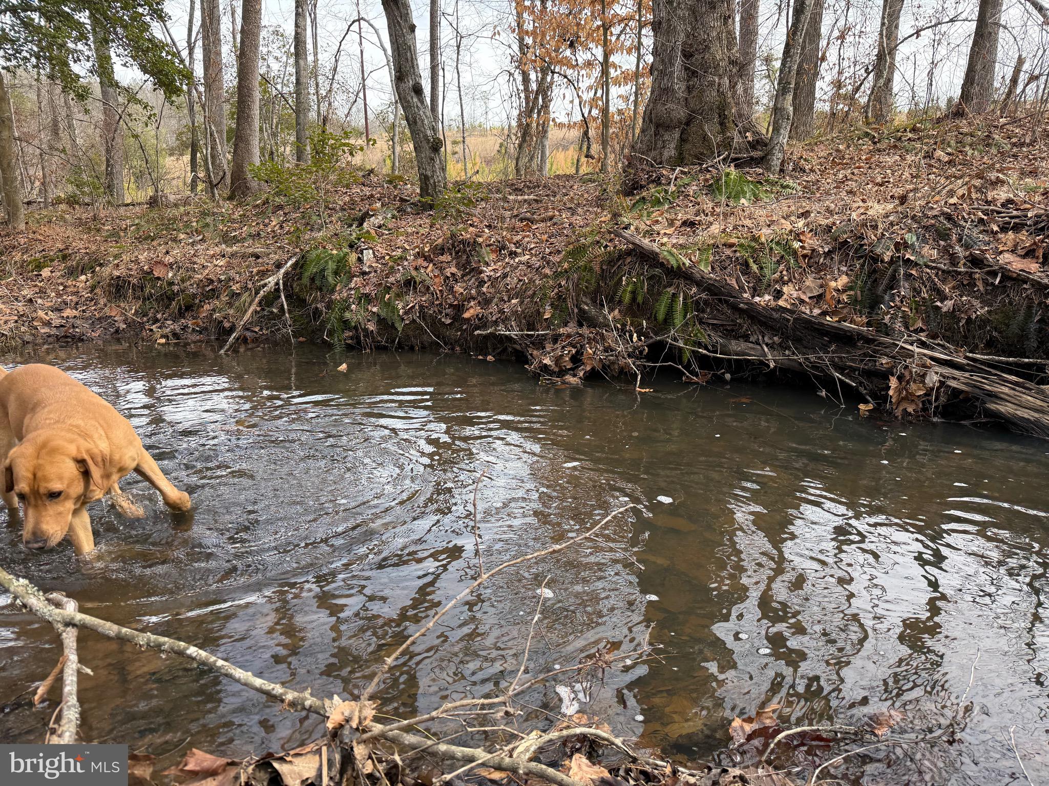 1 Community House Road Kents Store, VA 23084 - Photo 13 of 46