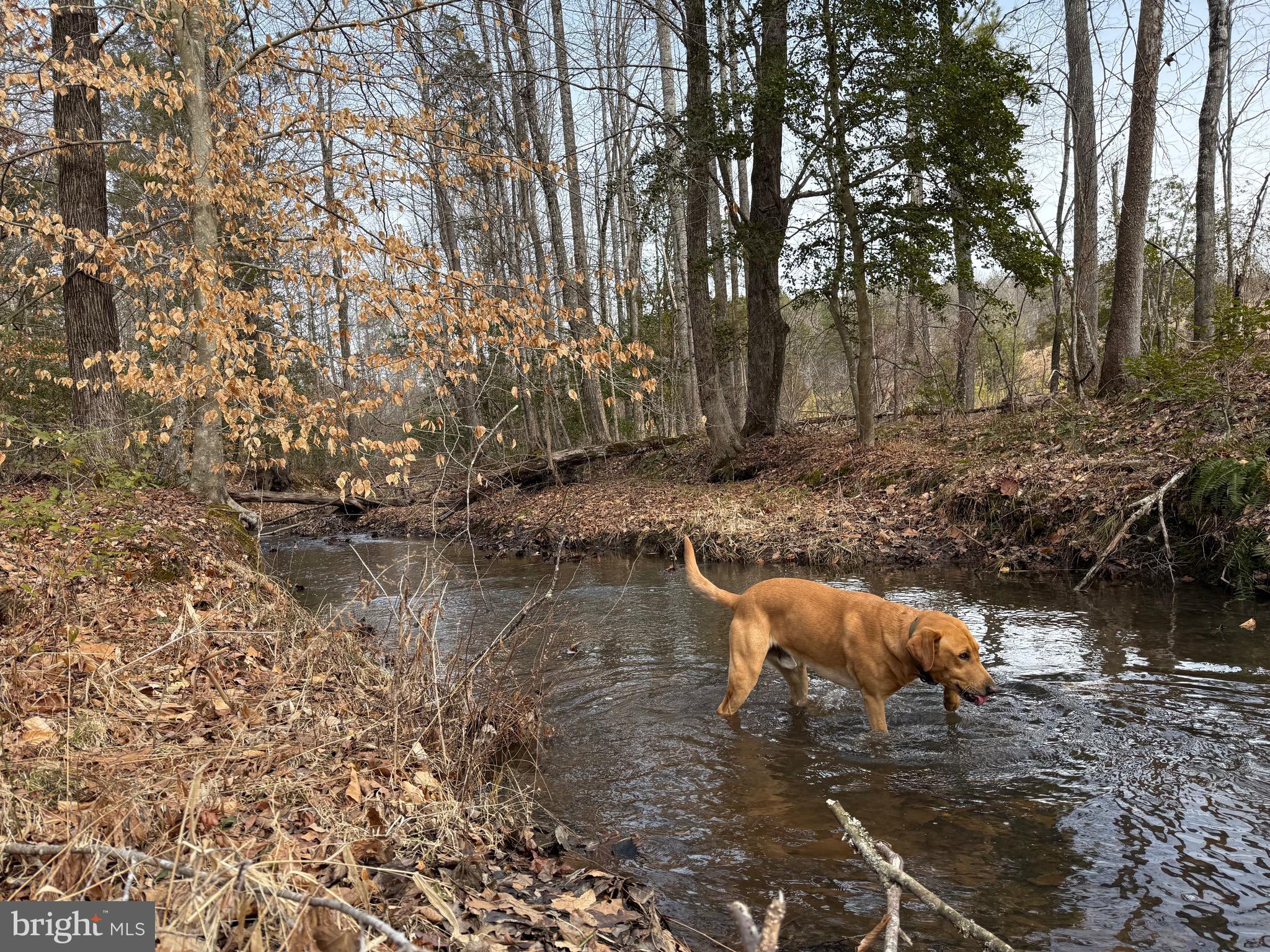 1 Community House Road Kents Store, VA 23084 - Photo 14 of 46