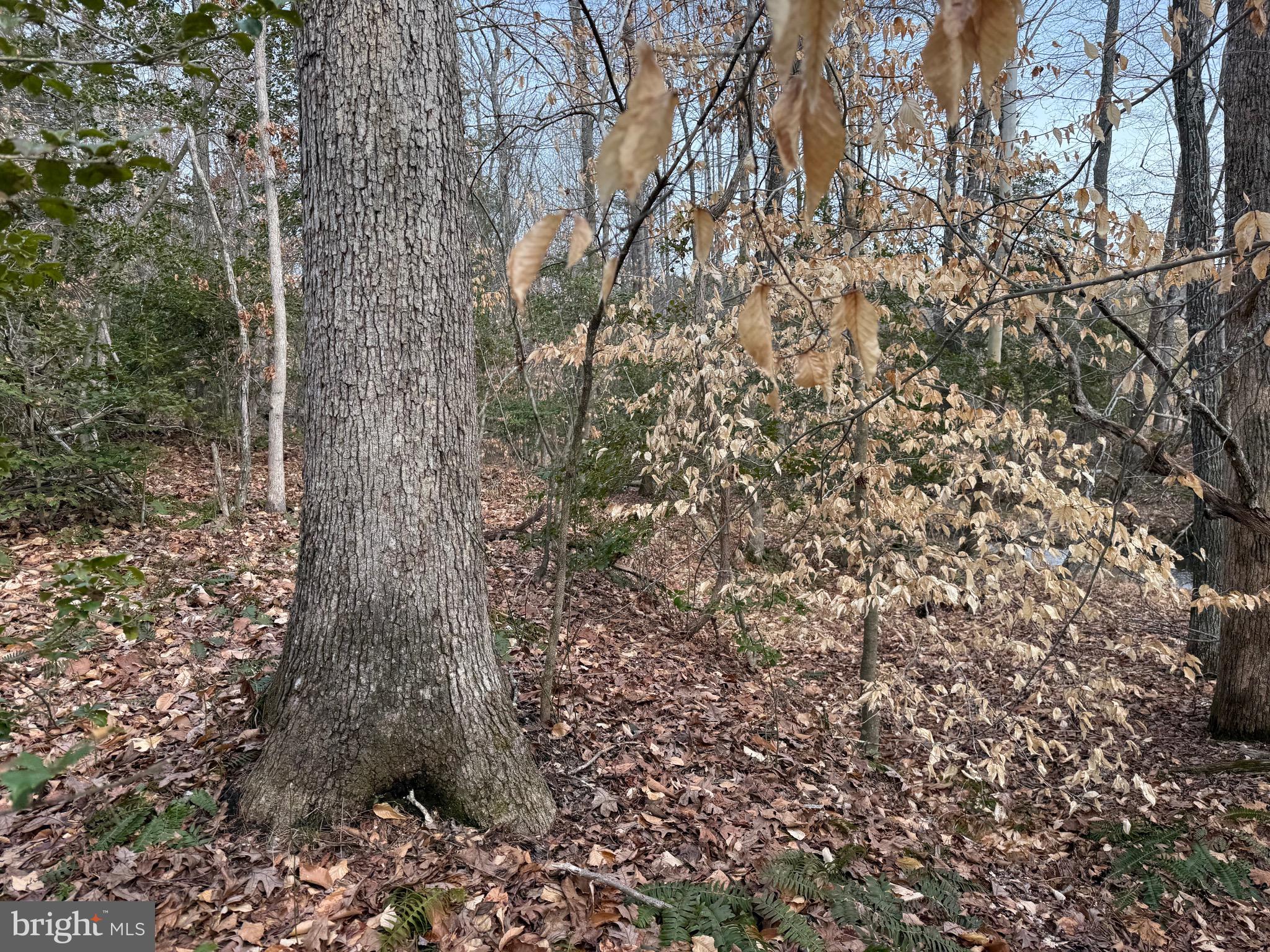 1 Community House Road Kents Store, VA 23084 - Photo 15 of 46
