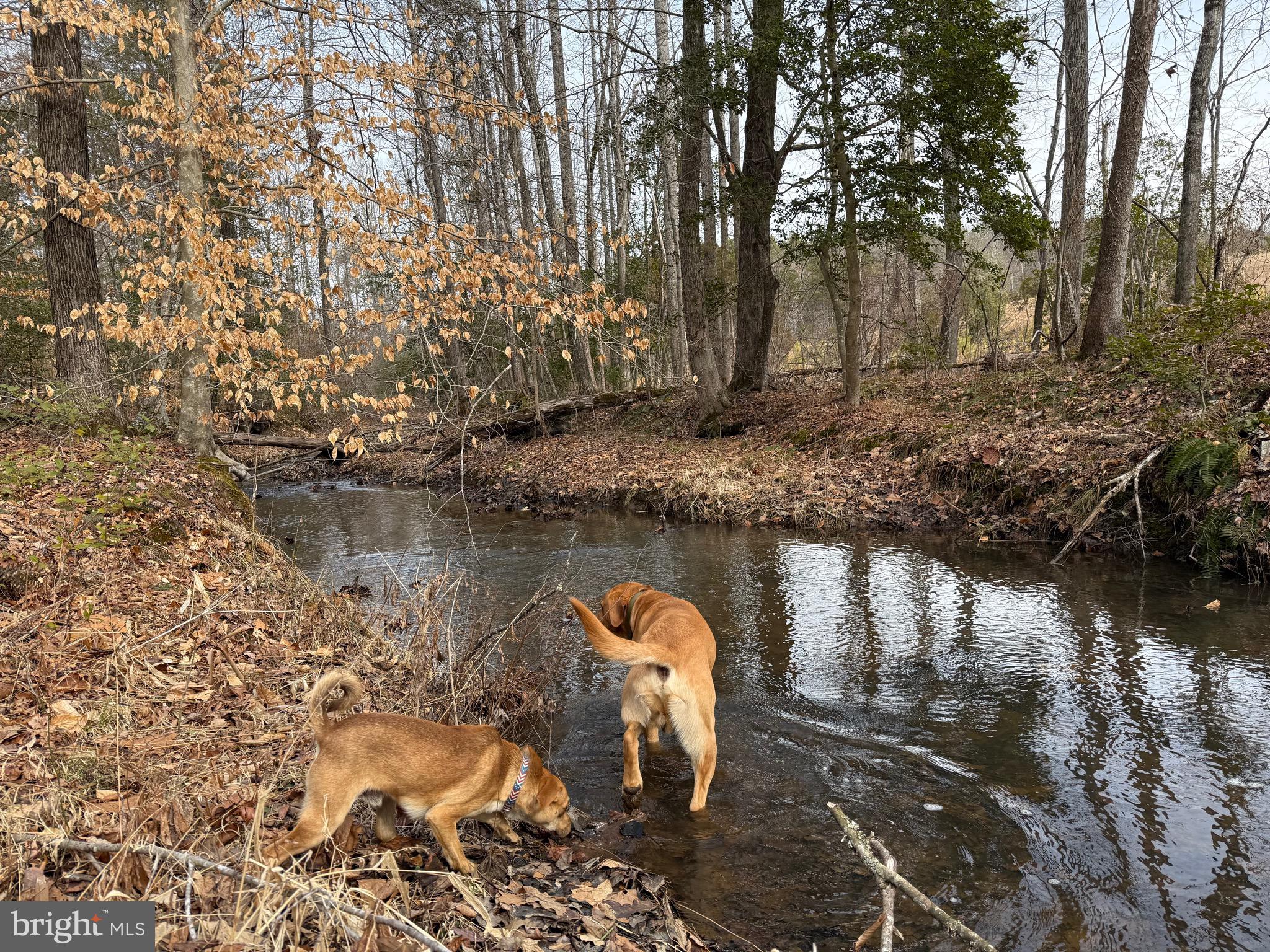 1 Community House Road Kents Store, VA 23084 - Photo 16 of 46