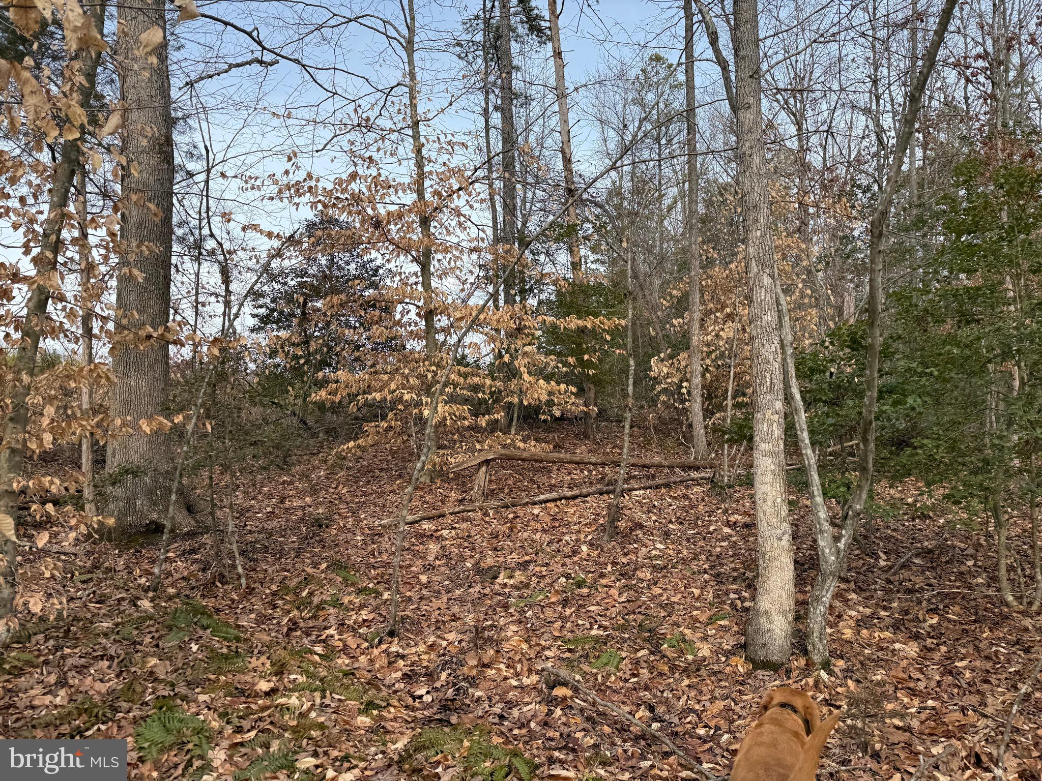 1 Community House Road Kents Store, VA 23084 - Photo 17 of 46