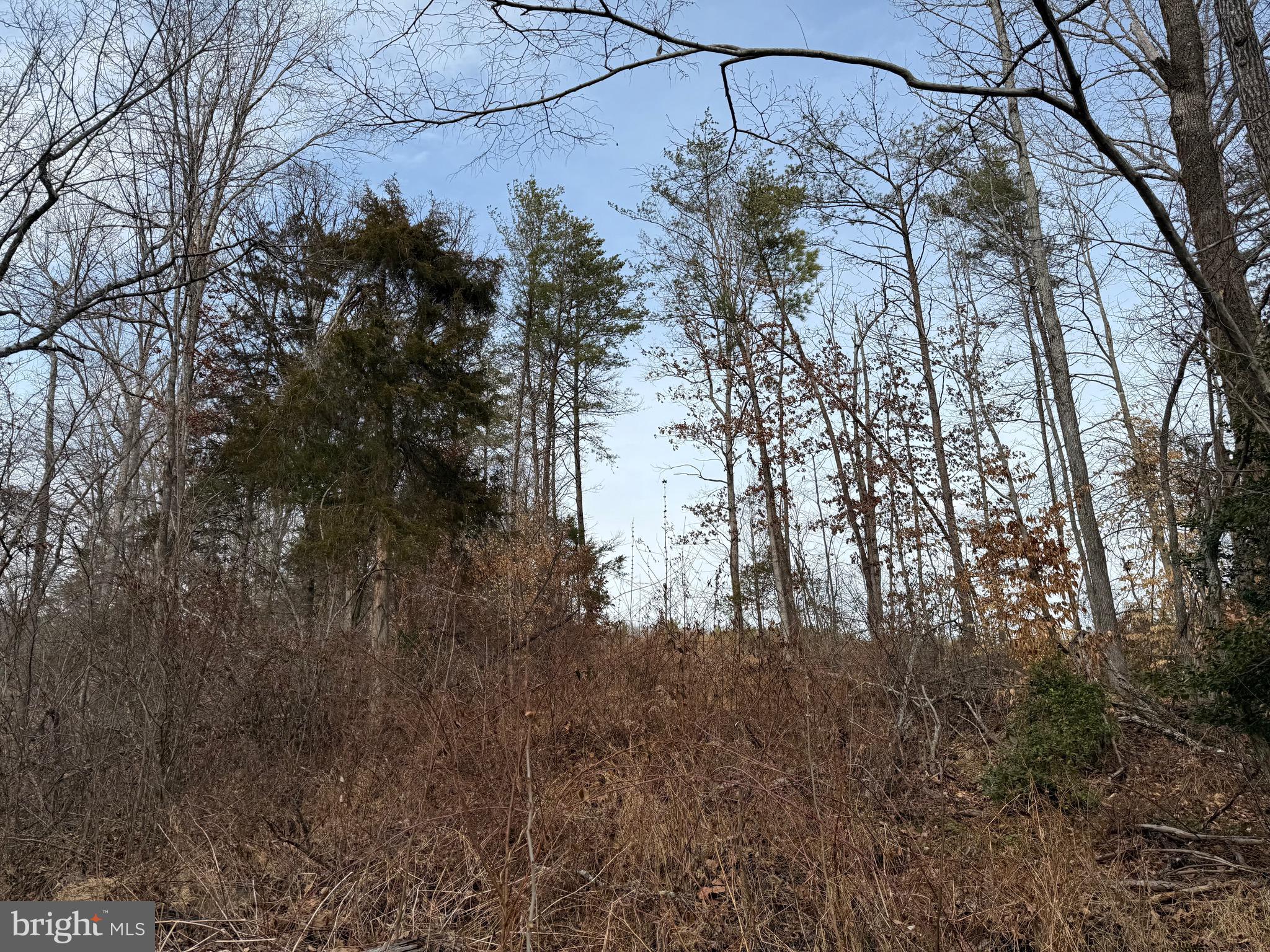 1 Community House Road Kents Store, VA 23084 - Photo 20 of 46