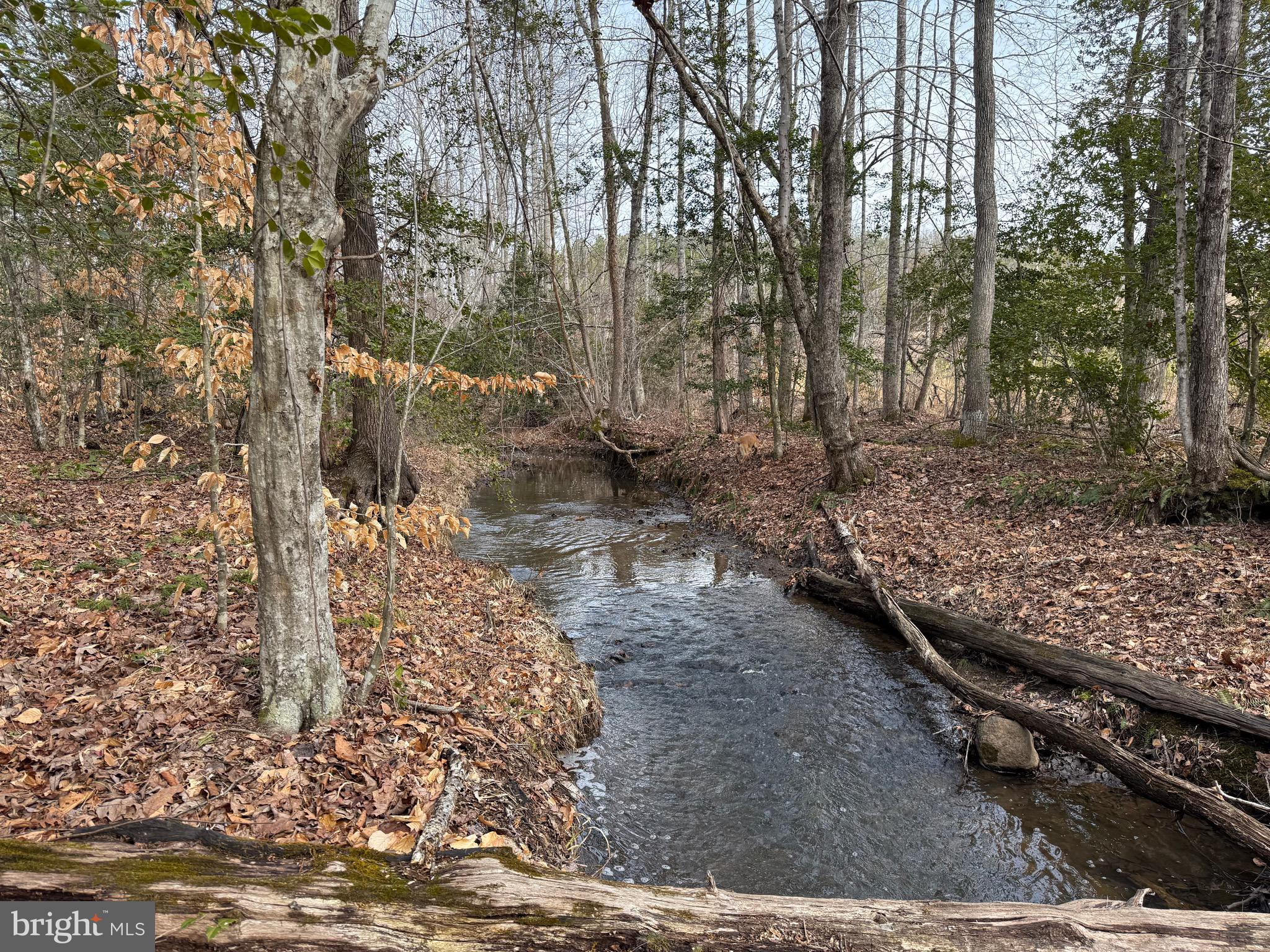 1 Community House Road Kents Store, VA 23084 - Photo 2 of 46