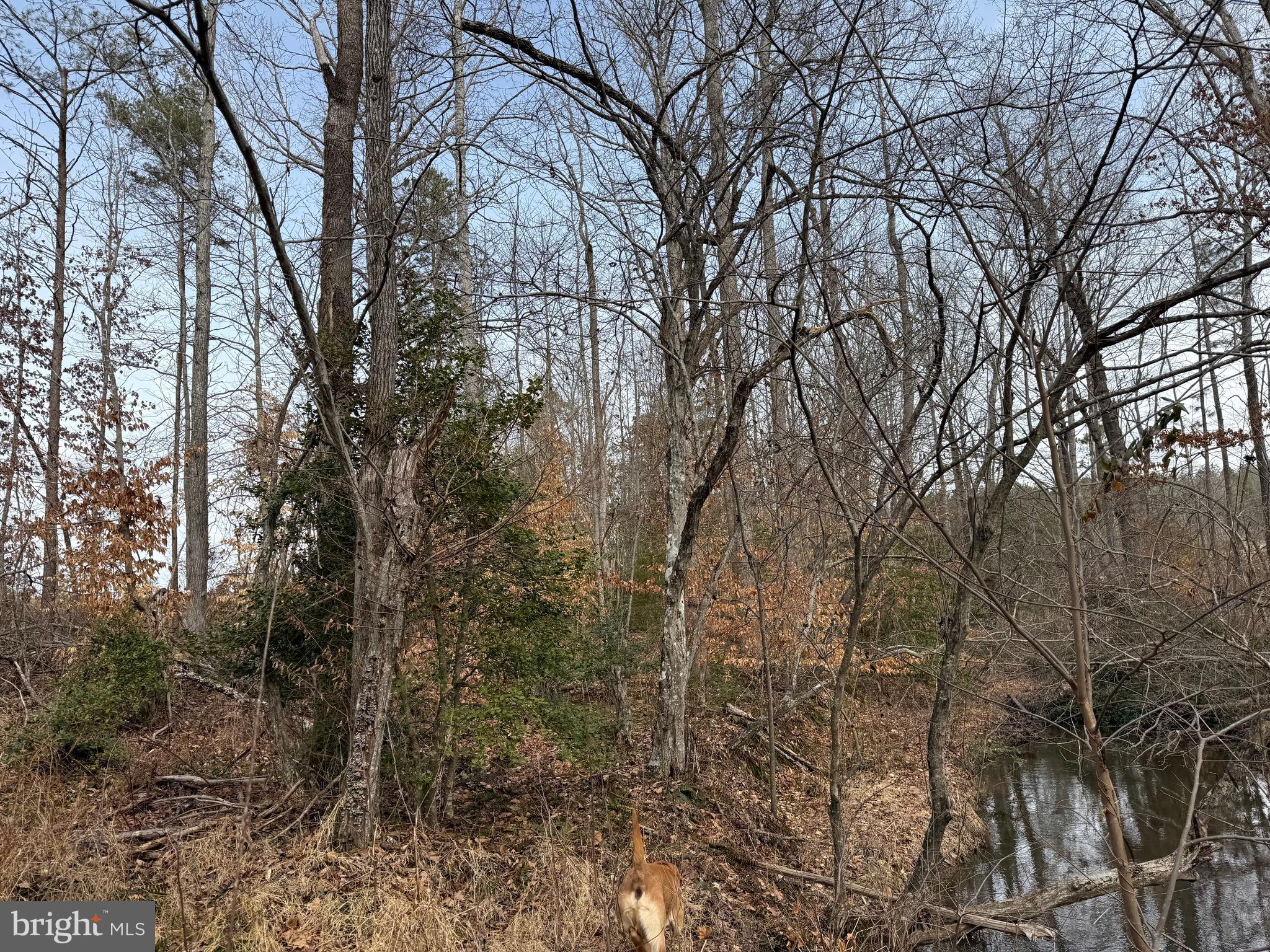 1 Community House Road Kents Store, VA 23084 - Photo 21 of 46