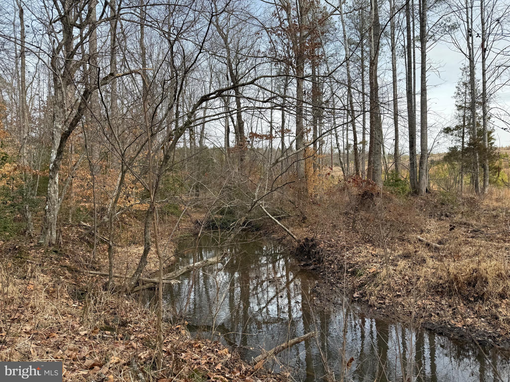 1 Community House Road Kents Store, VA 23084 - Photo 22 of 46