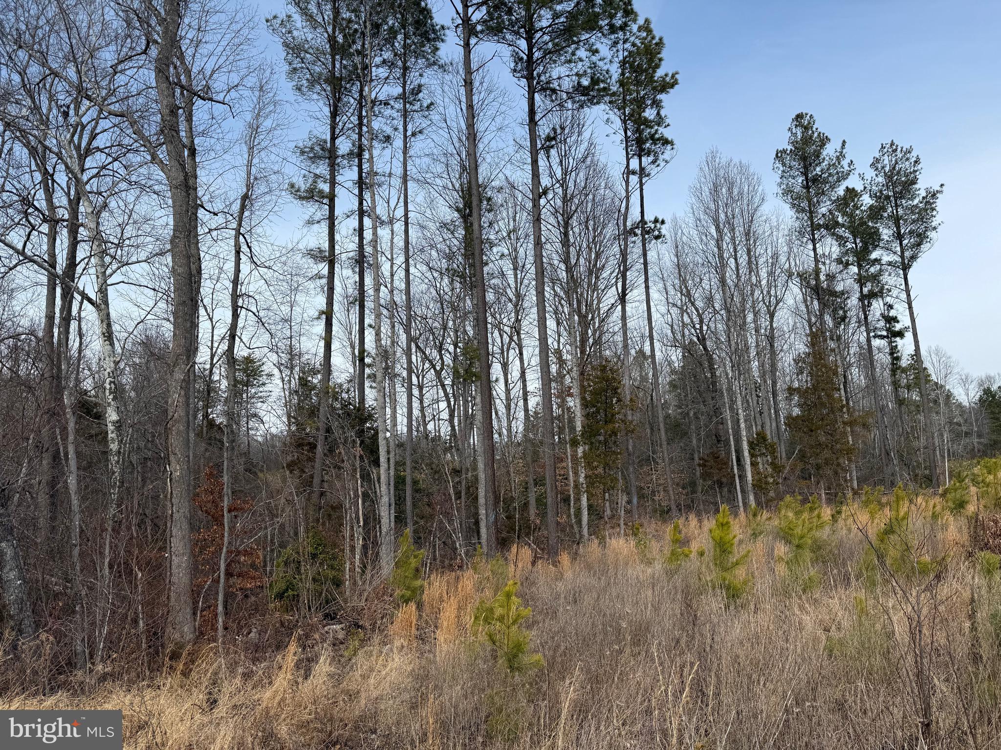 1 Community House Road Kents Store, VA 23084 - Photo 24 of 46