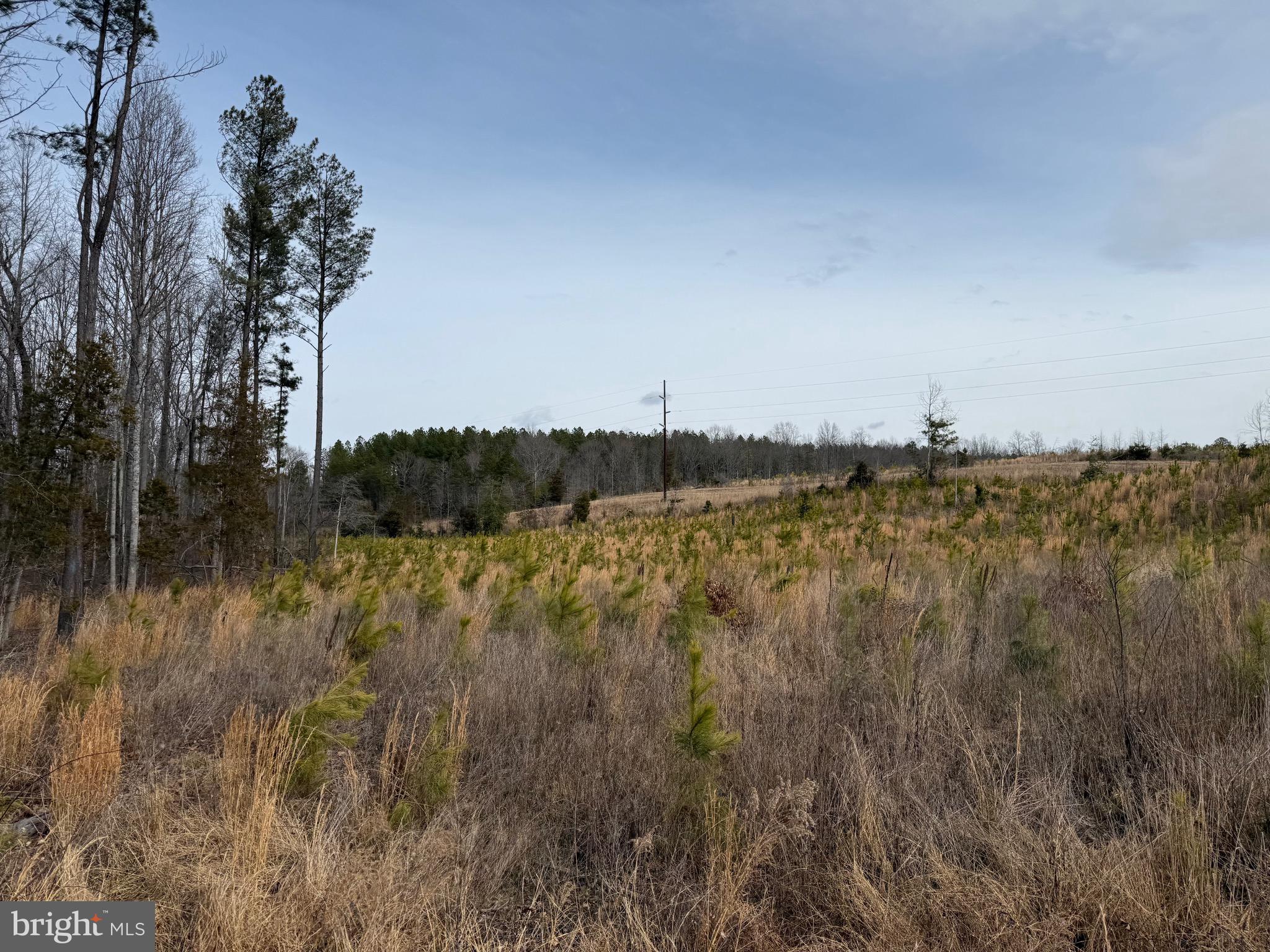 1 Community House Road Kents Store, VA 23084 - Photo 25 of 46