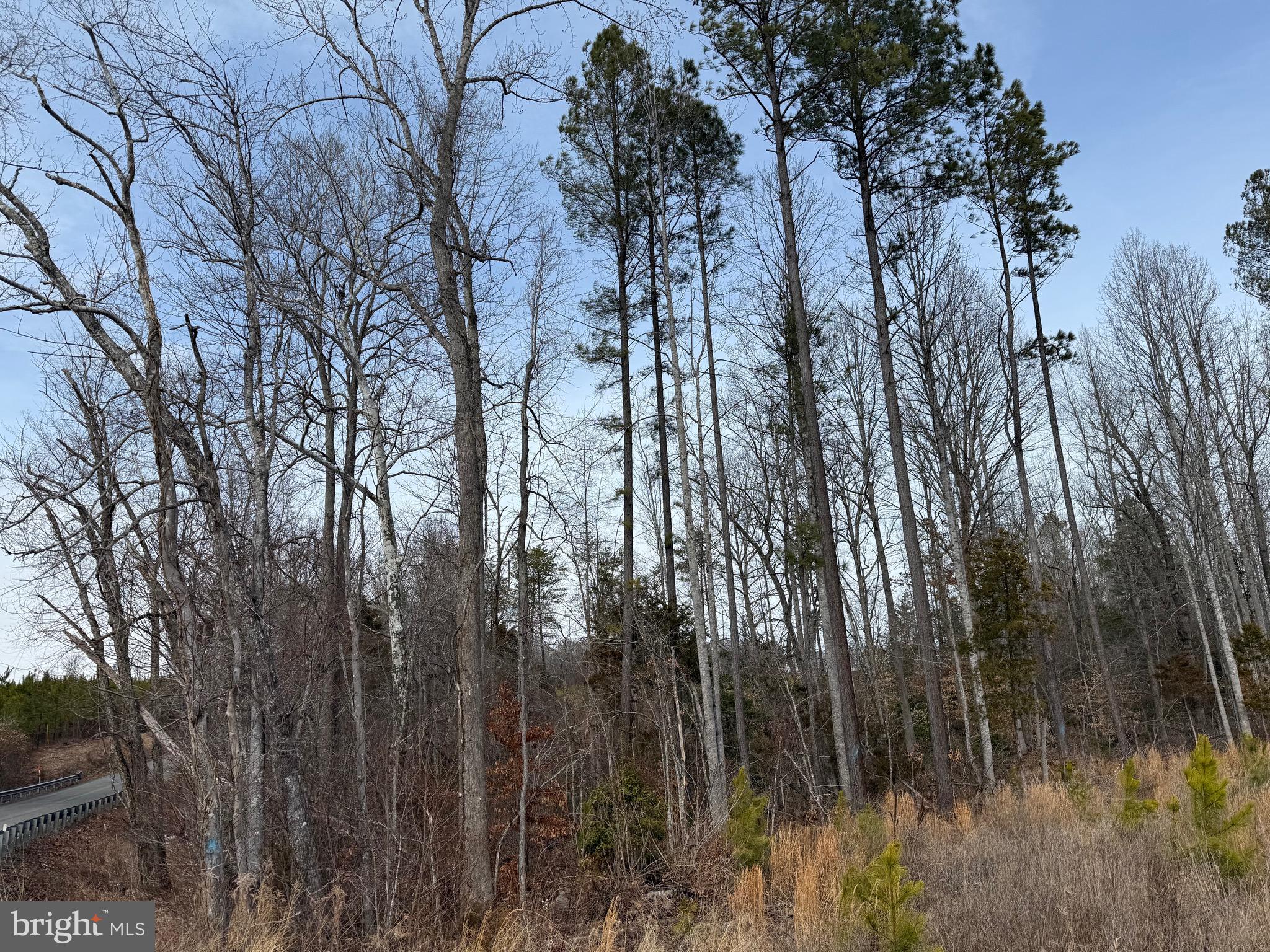 1 Community House Road Kents Store, VA 23084 - Photo 26 of 46