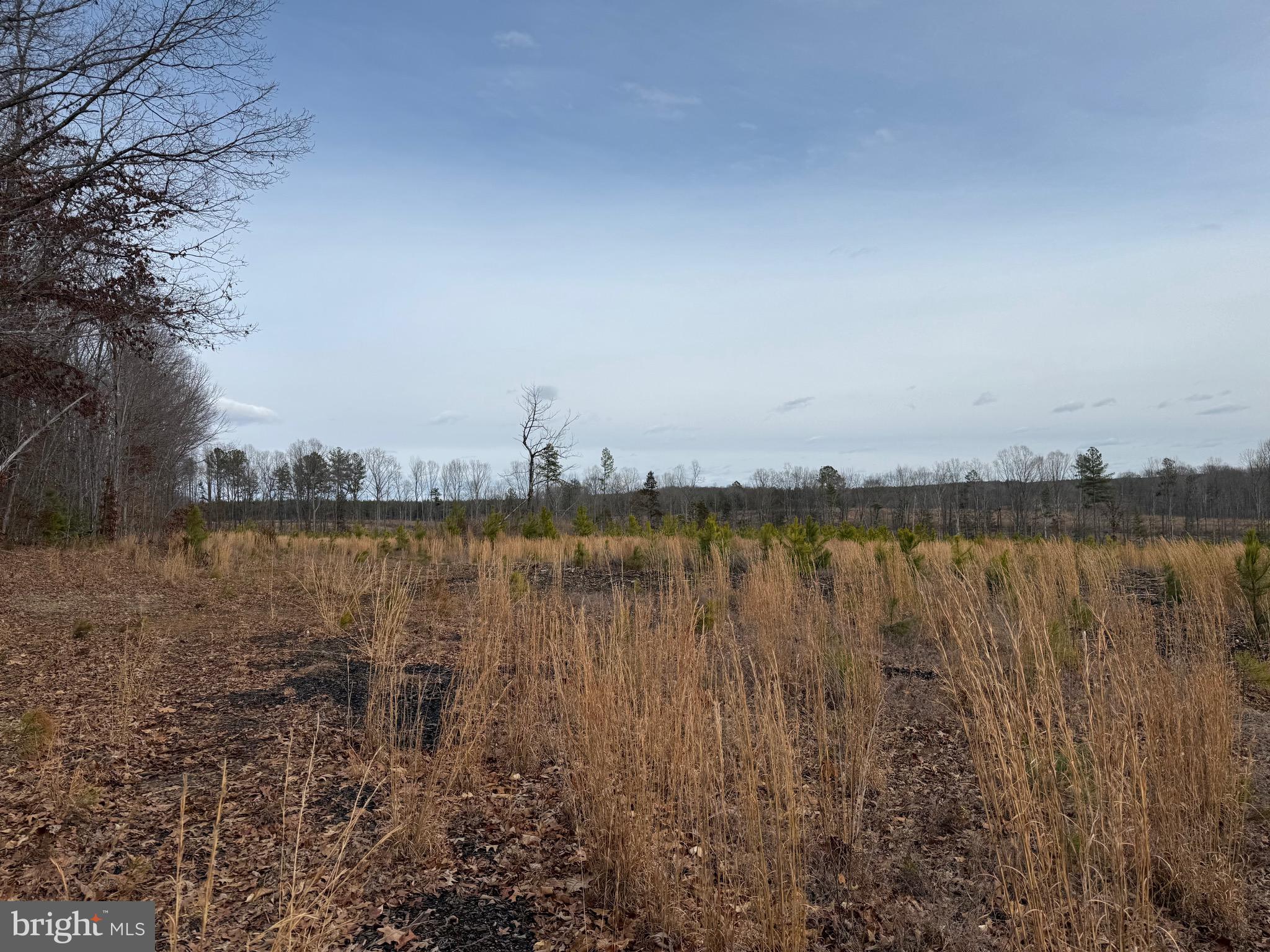 1 Community House Road Kents Store, VA 23084 - Photo 30 of 46