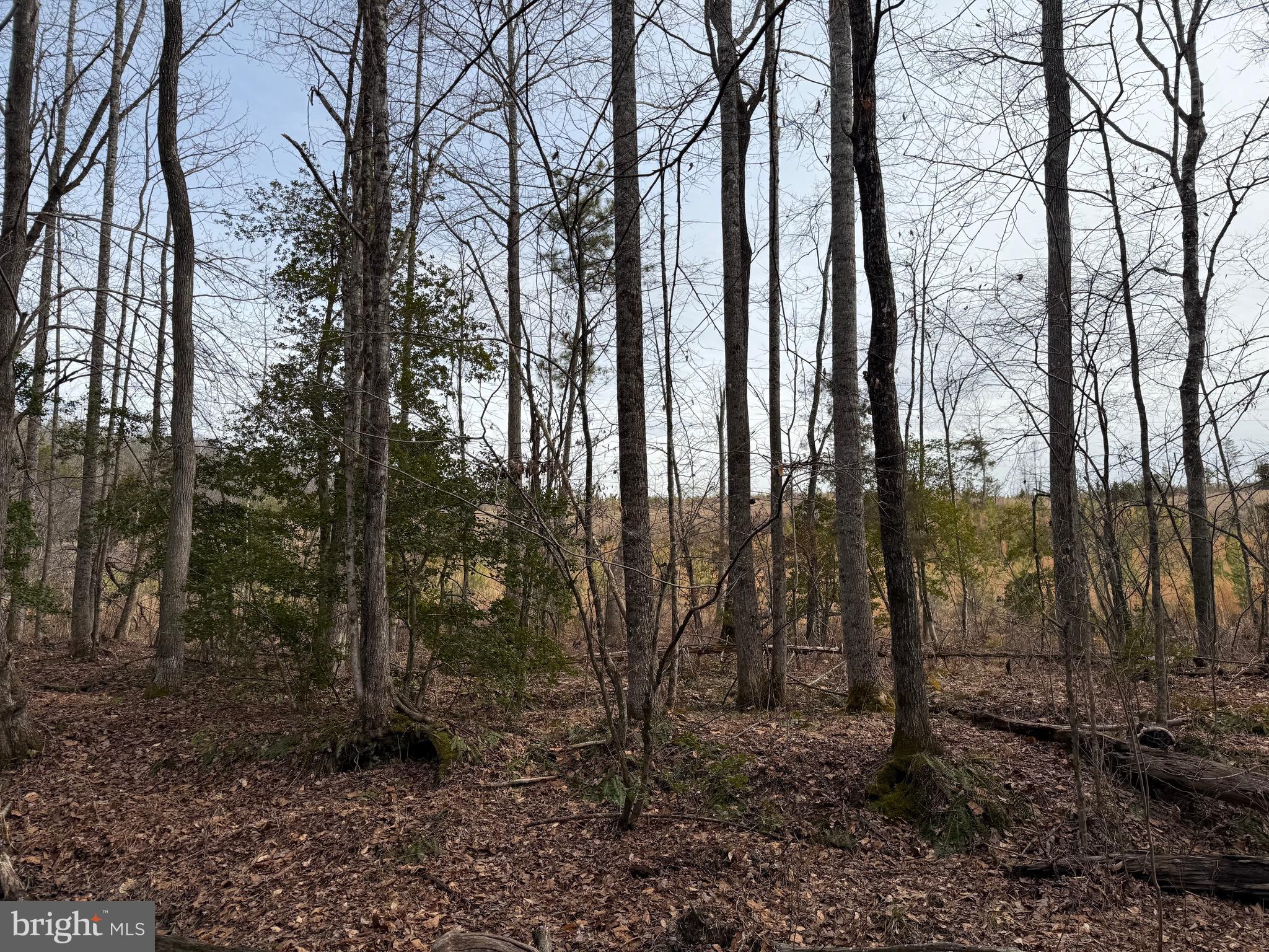 1 Community House Road Kents Store, VA 23084 - Photo 3 of 46