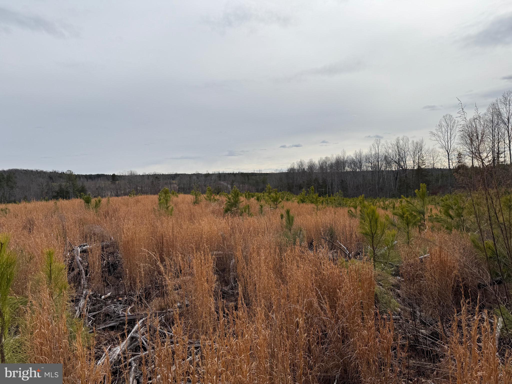 1 Community House Road Kents Store, VA 23084 - Photo 31 of 46