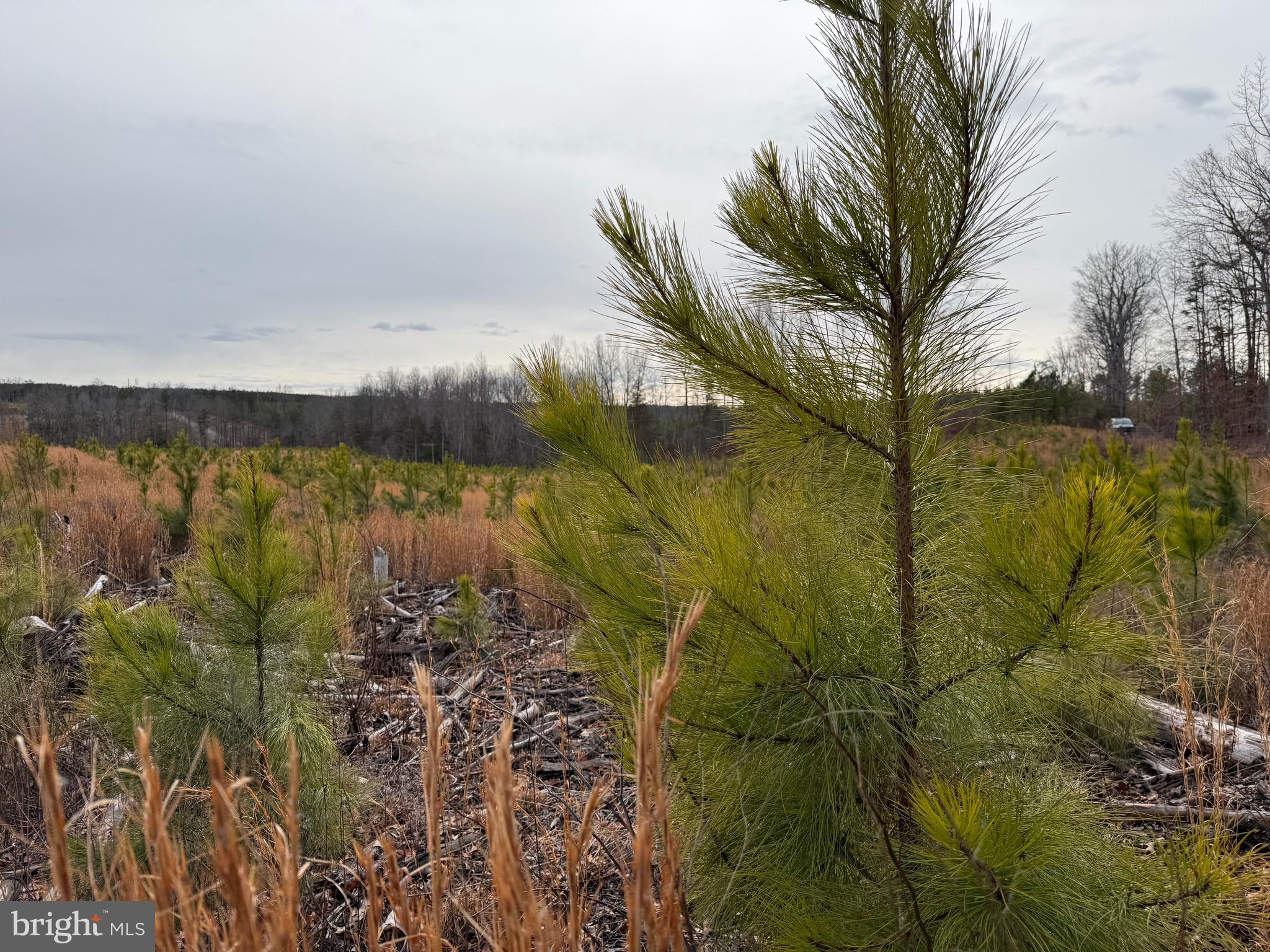 1 Community House Road Kents Store, VA 23084 - Photo 34 of 46