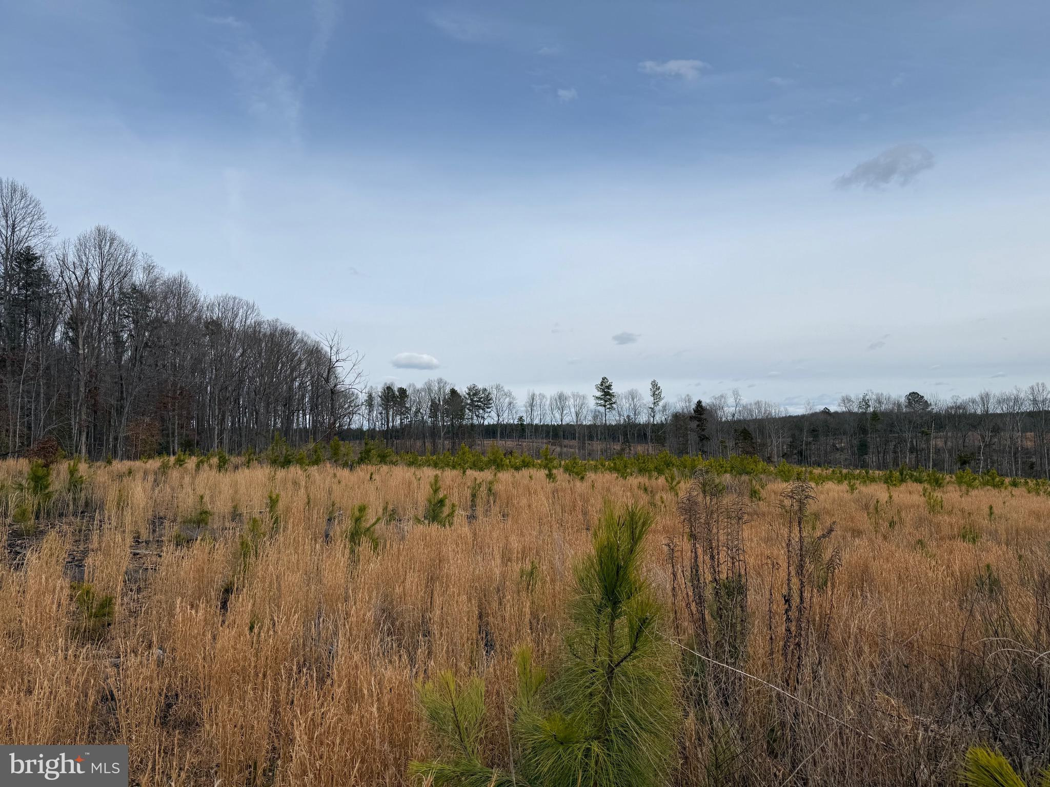 1 Community House Road Kents Store, VA 23084 - Photo 35 of 46