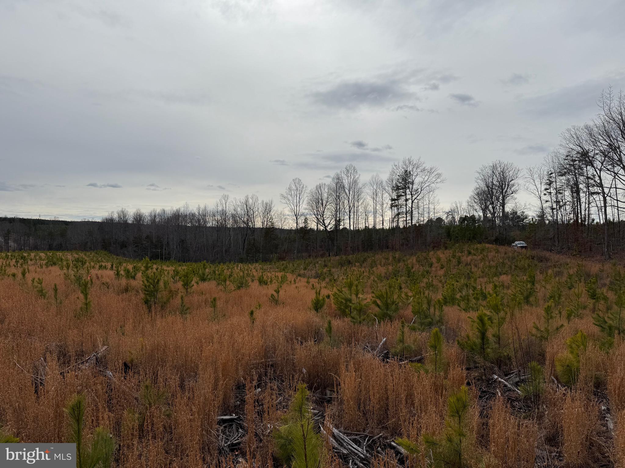 1 Community House Road Kents Store, VA 23084 - Photo 36 of 46