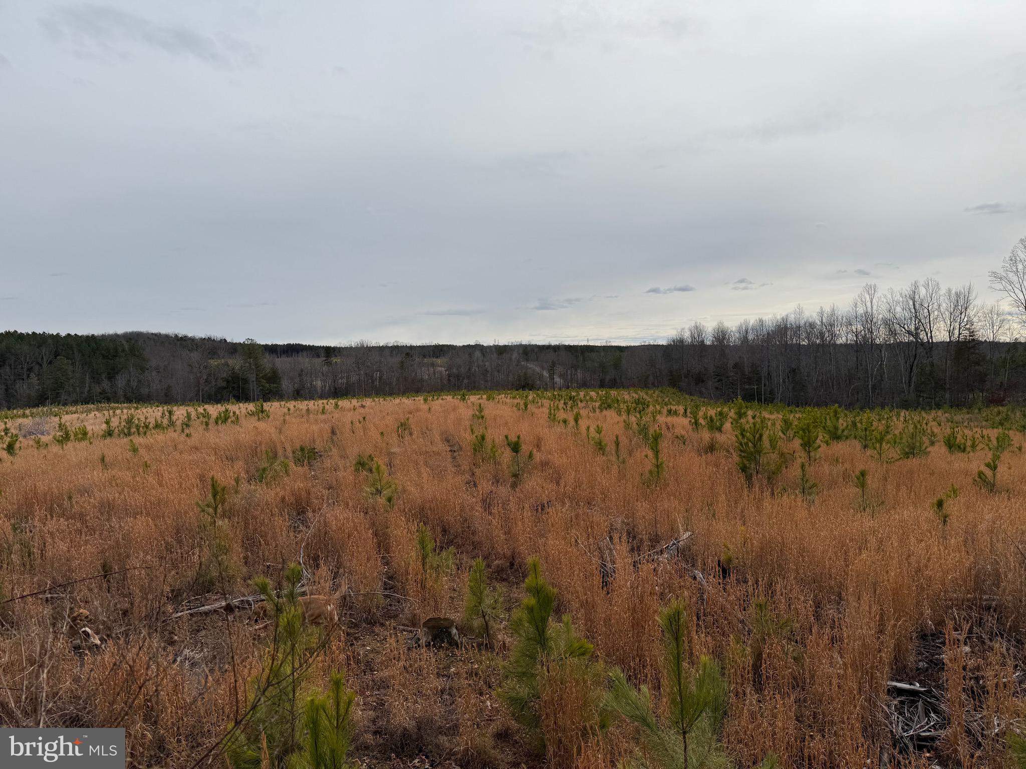 1 Community House Road Kents Store, VA 23084 - Photo 37 of 46