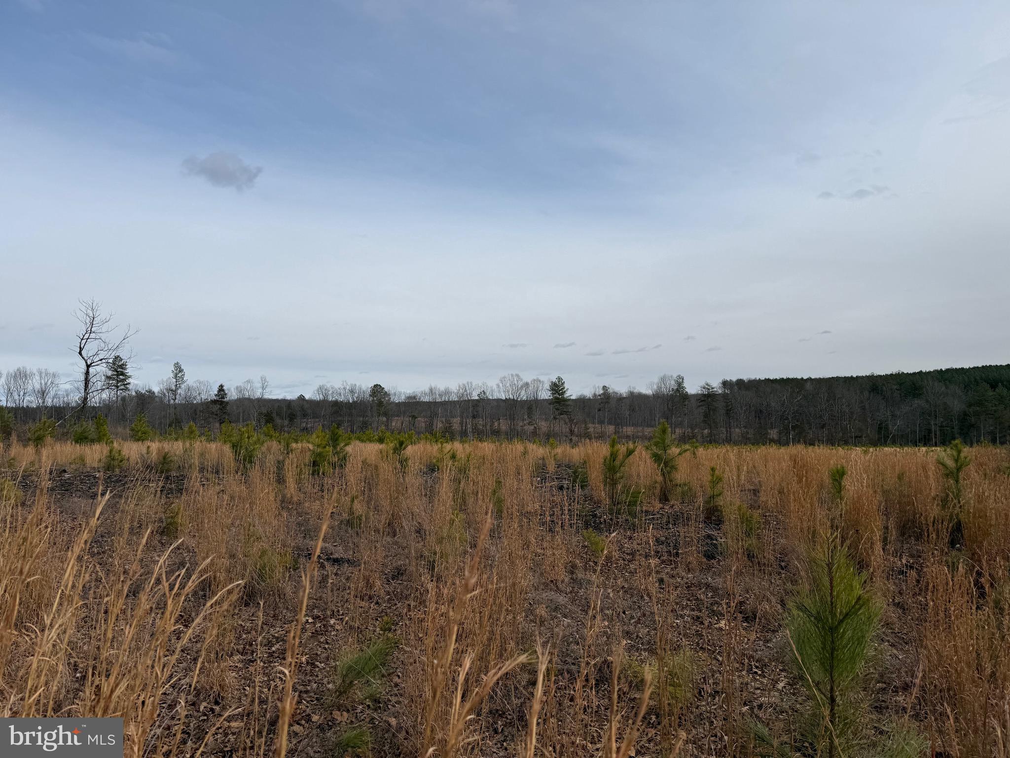 1 Community House Road Kents Store, VA 23084 - Photo 38 of 46