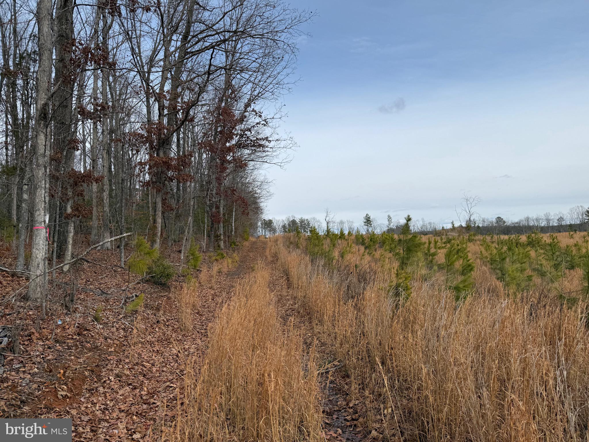 1 Community House Road Kents Store, VA 23084 - Photo 39 of 46