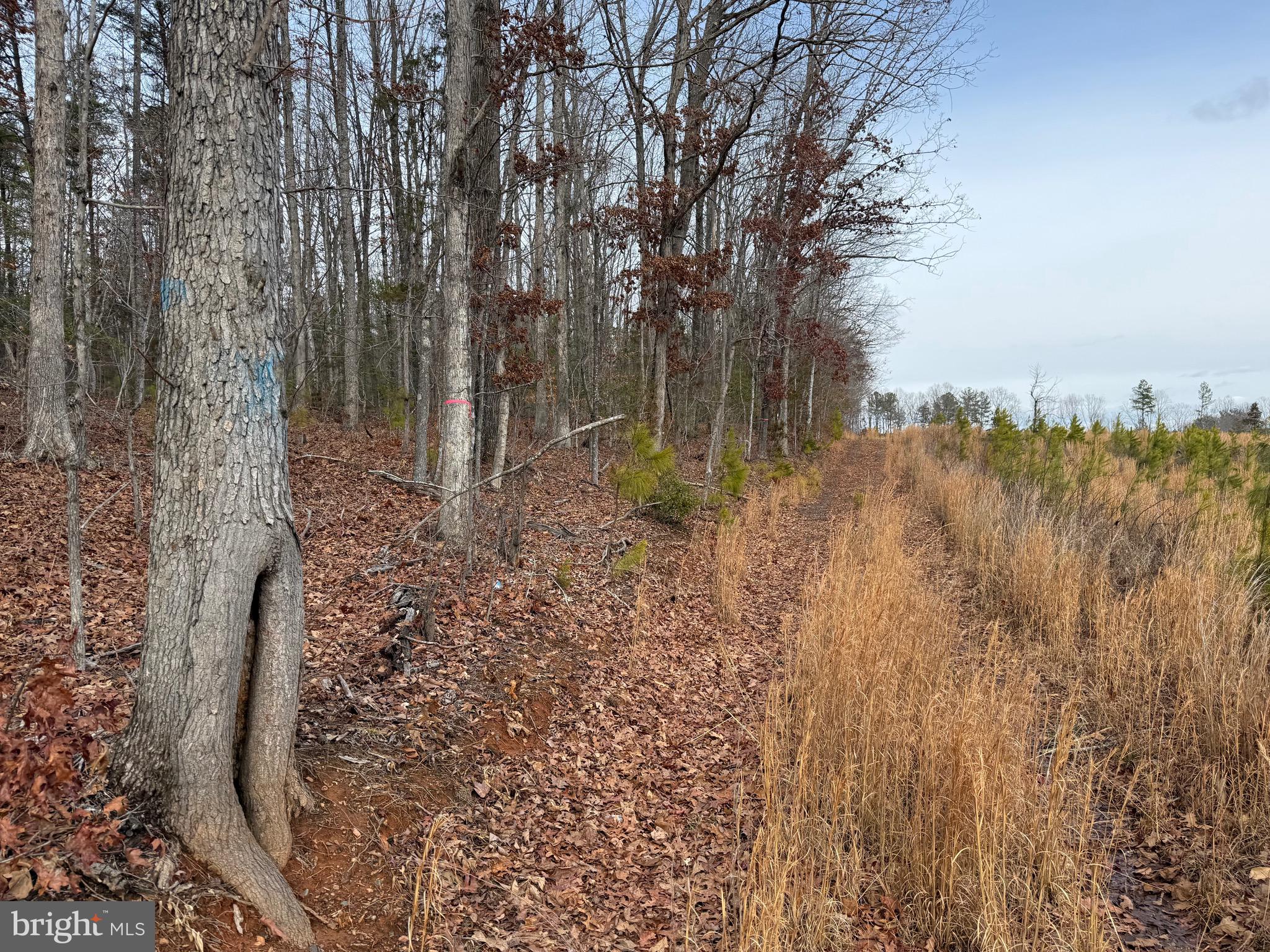 1 Community House Road Kents Store, VA 23084 - Photo 40 of 46