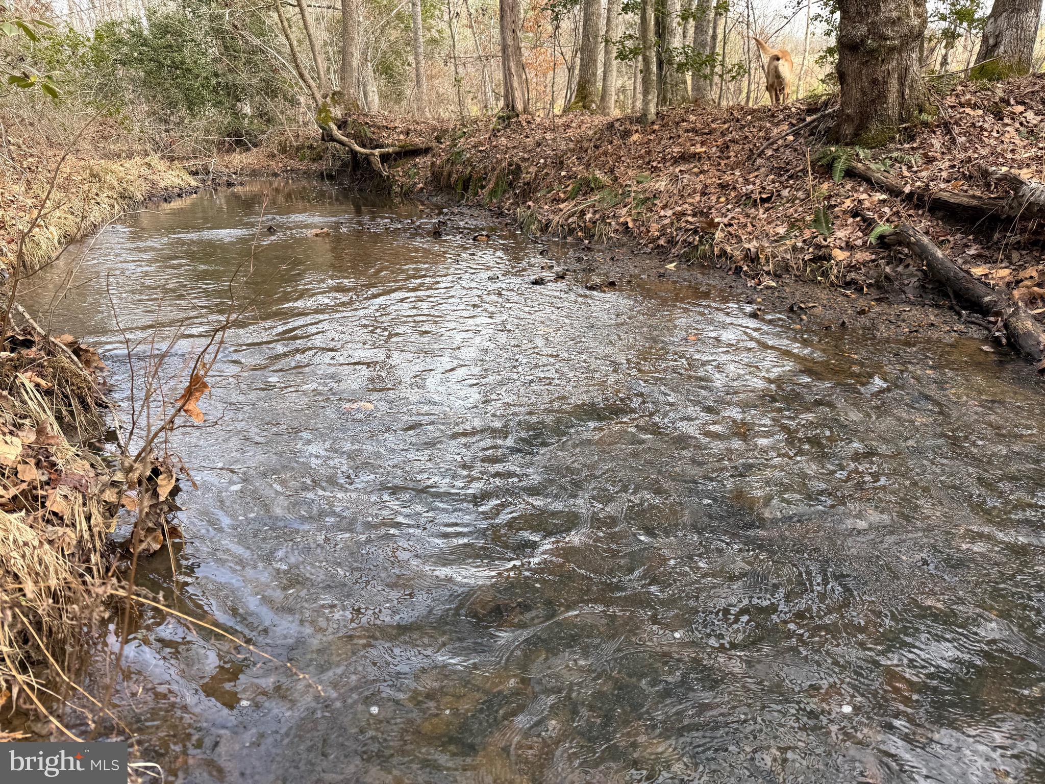 1 Community House Road Kents Store, VA 23084 - Photo 4 of 46