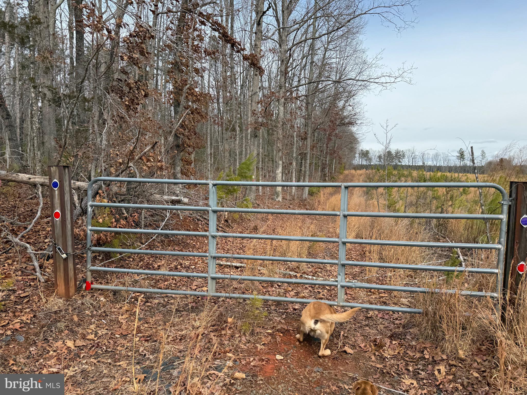 1 Community House Road Kents Store, VA 23084 - Photo 41 of 46