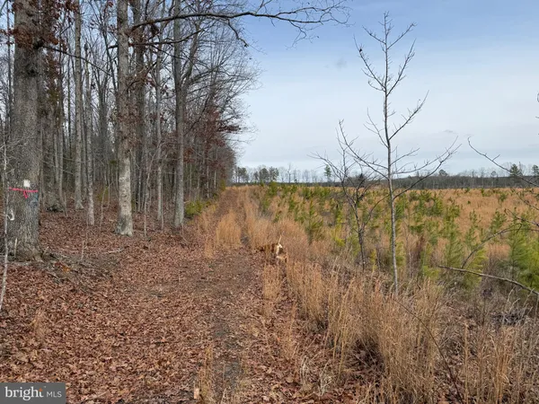 $265,000 | 1 Community House Road, Kents Store, VA 23084