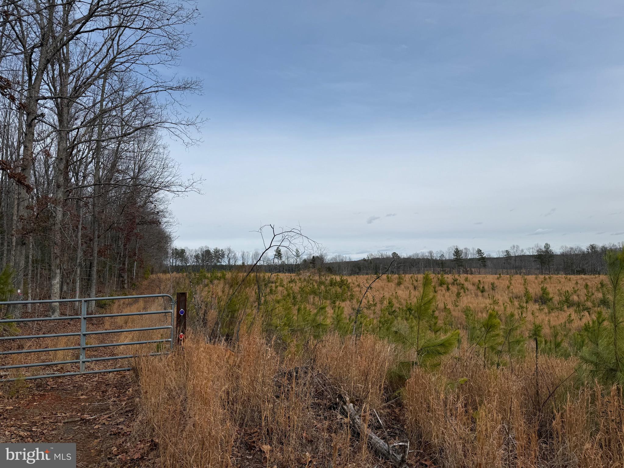 1 Community House Road Kents Store, VA 23084 - Photo 44 of 46