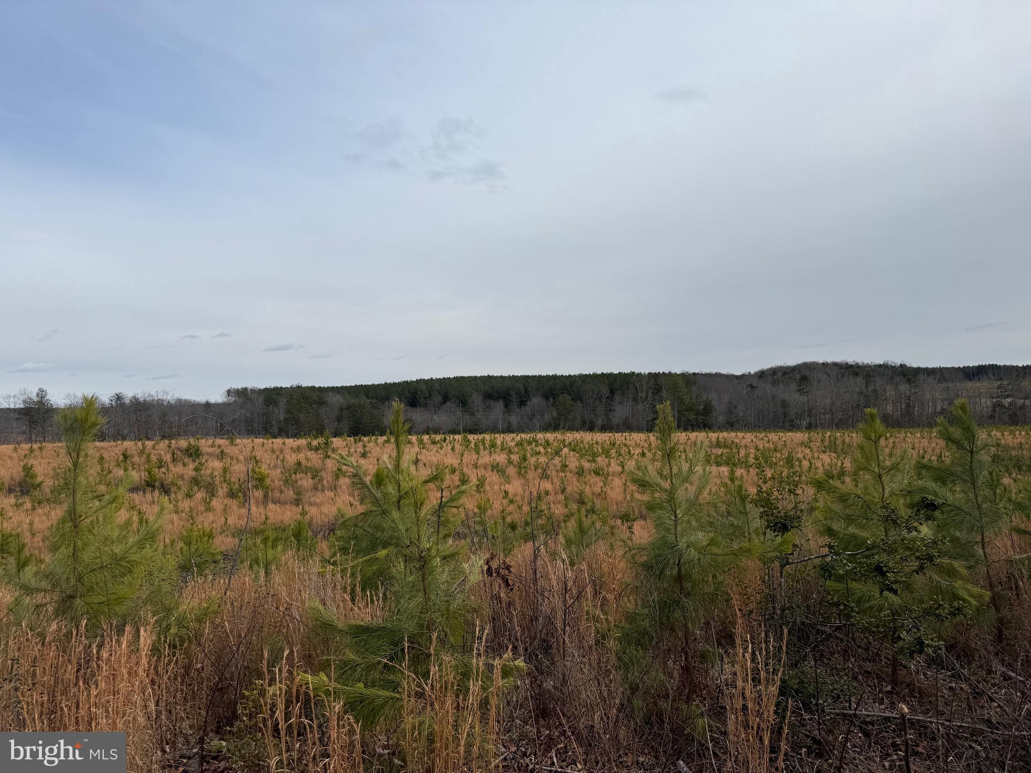 1 Community House Road Kents Store, VA 23084 - Photo 45 of 46