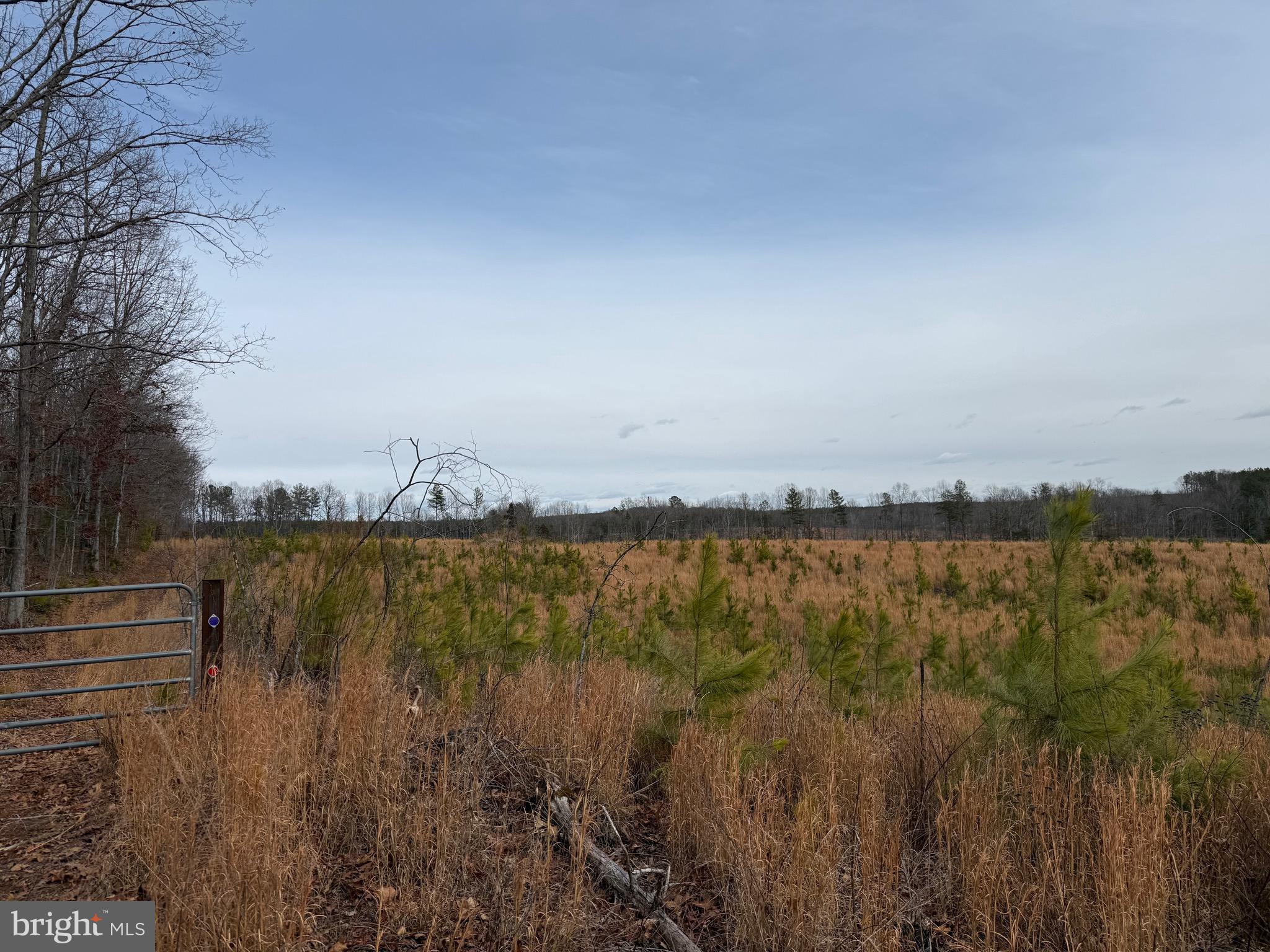 1 Community House Road Kents Store, VA 23084 - Photo 46 of 46