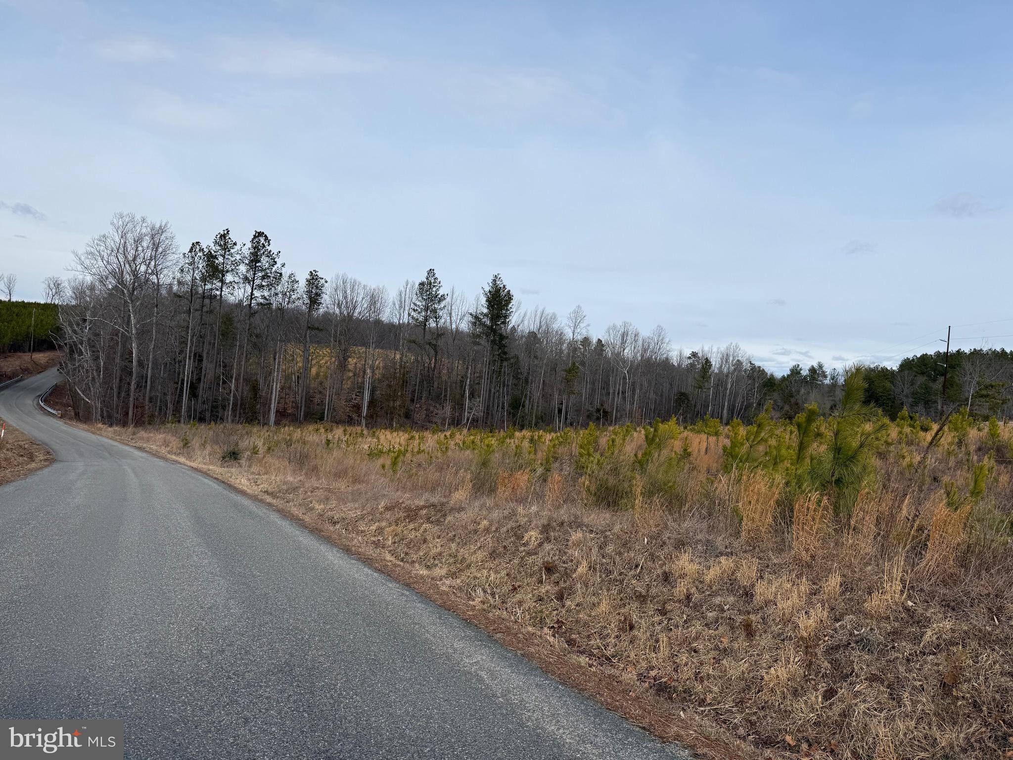 1 Community House Road Kents Store, VA 23084 - Photo 5 of 46