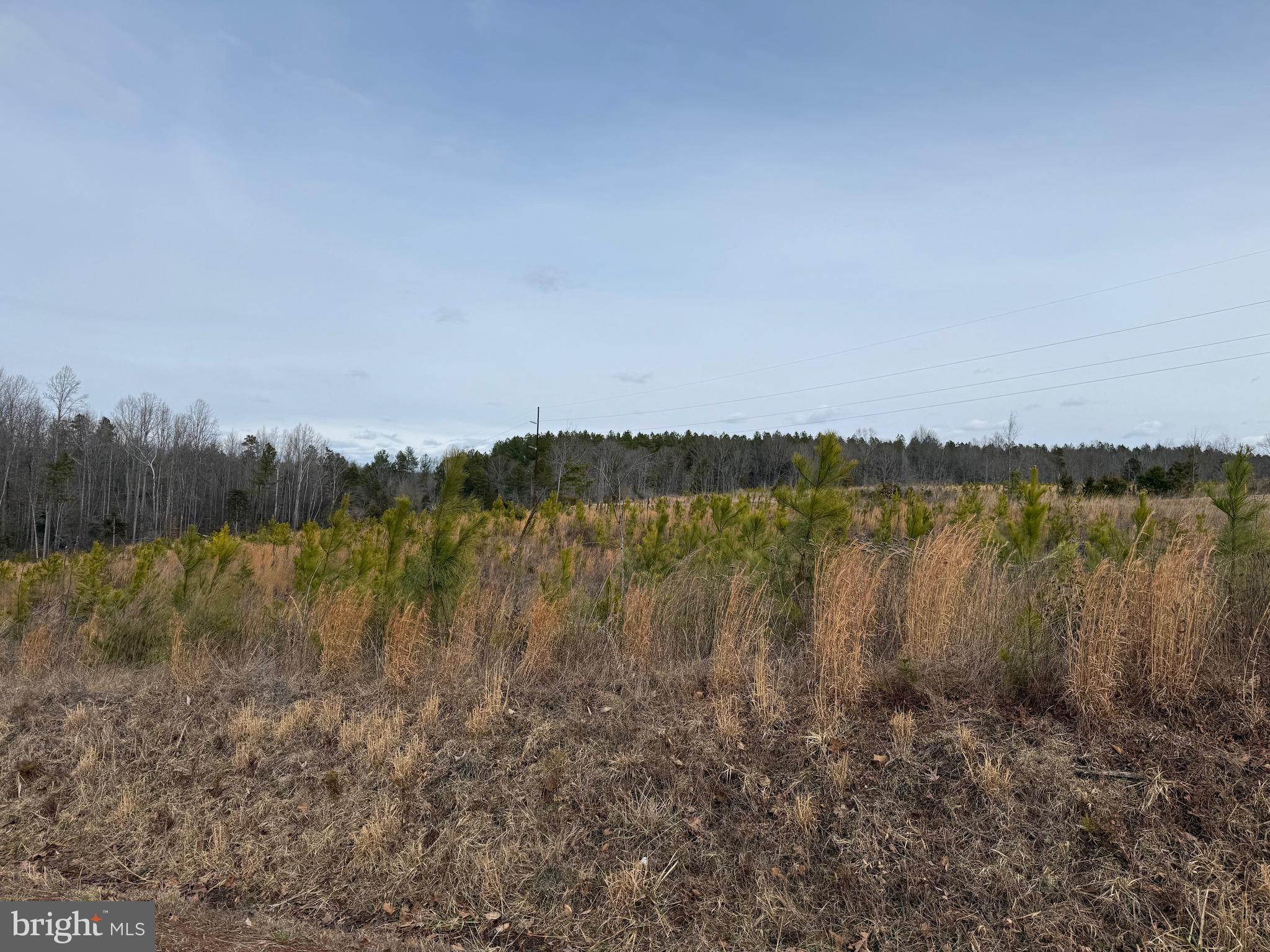 1 Community House Road Kents Store, VA 23084 - Photo 6 of 46