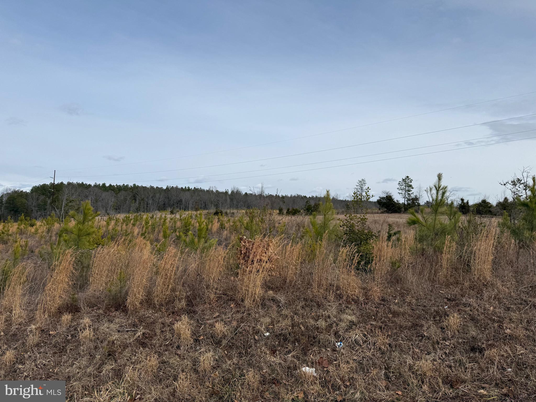 1 Community House Road Kents Store, VA 23084 - Photo 8 of 46