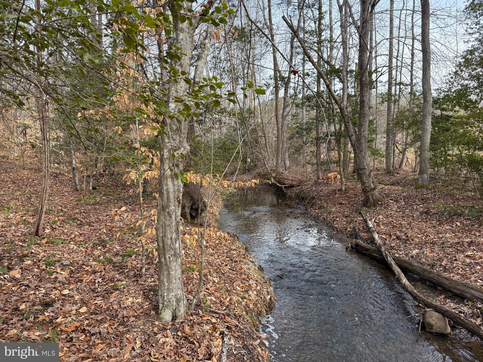 1 Community House Road Kents Store, VA 23084 - Photo 9 of 46