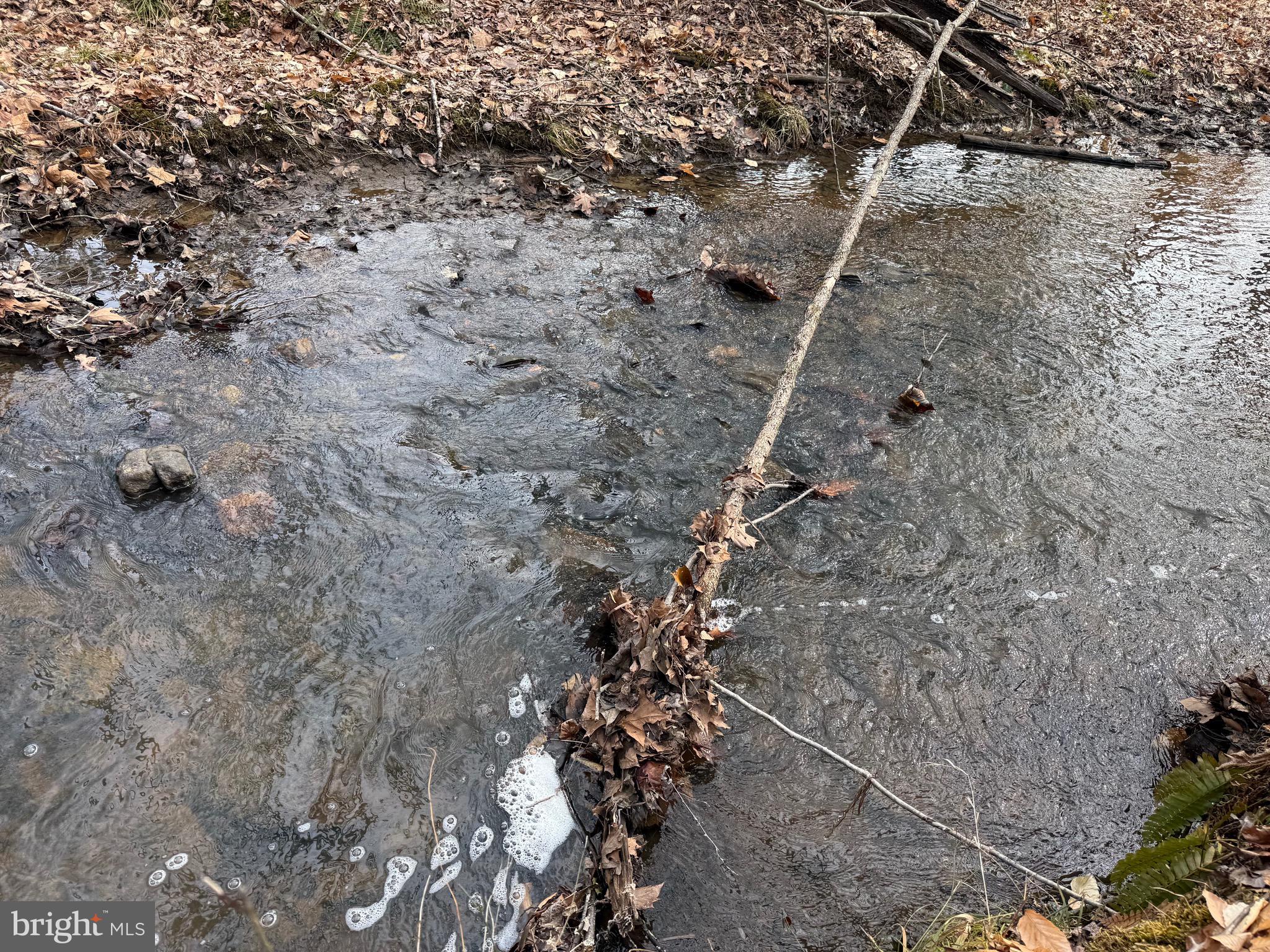 1 Community House Road Kents Store, VA 23084 - Photo 10 of 46