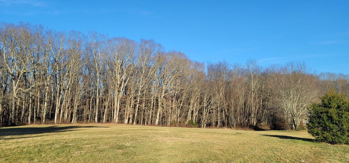 2451 Ritter Drive Shady Spring, WV 25918 - Photo 1 of 24 Gallery Image 1