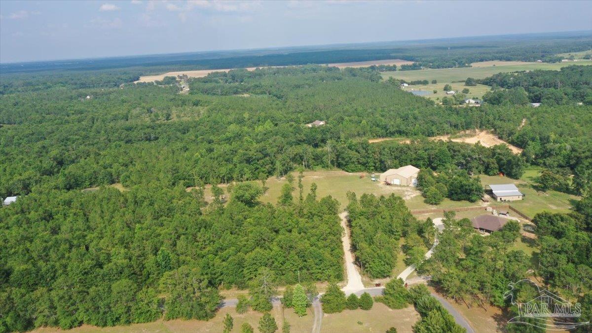 Lot 3 Byrom Campbell Road Pace, FL 32571 - Photo 17 of 23 Gallery Image 17