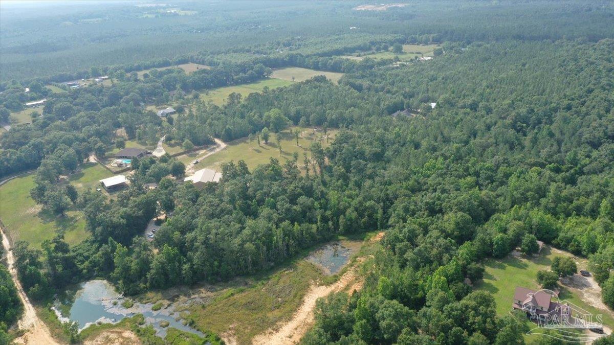 Lot 3 Byrom Campbell Road Pace, FL 32571 - Photo 10 of 23 Gallery Image 10