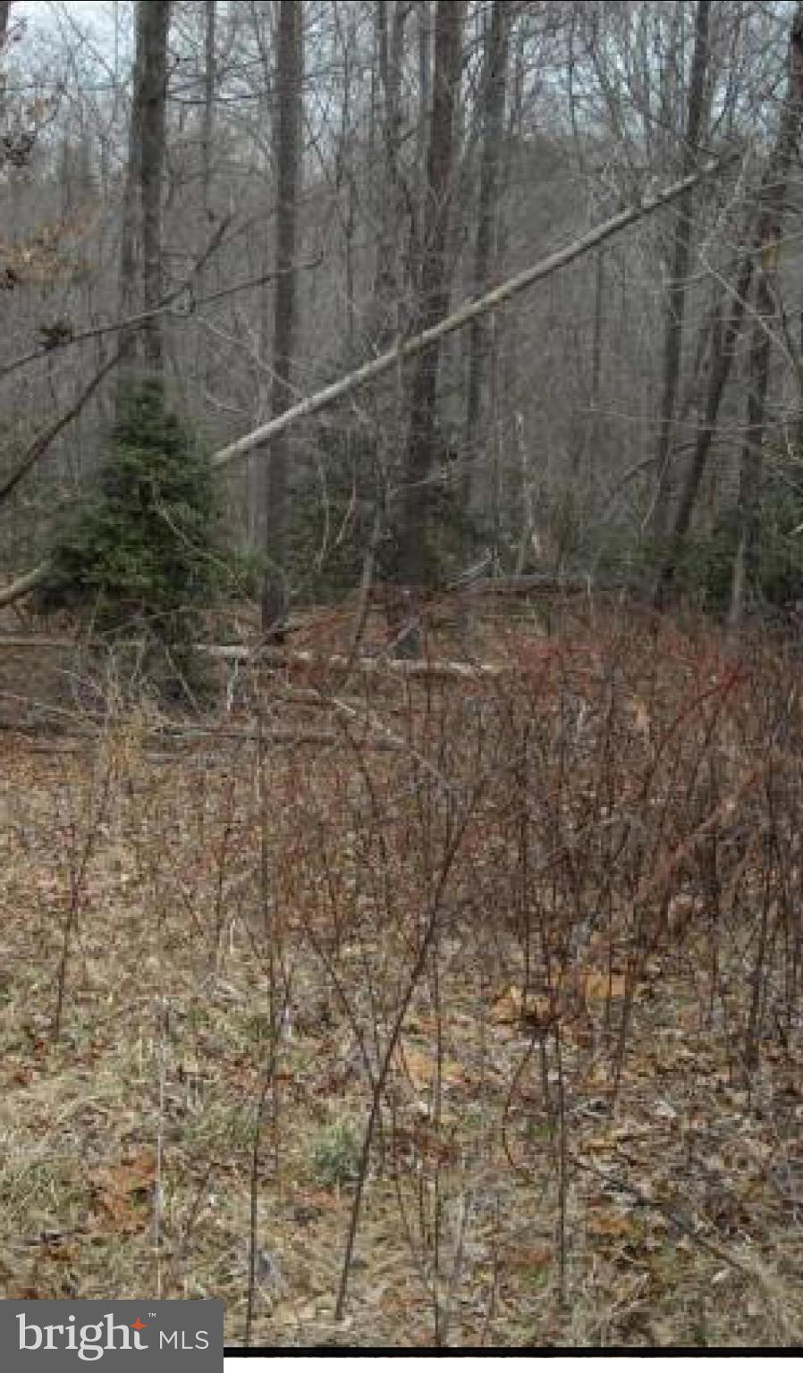 1285 Ball Road Port Republic, MD 20676 - Photo 5 of 5 View