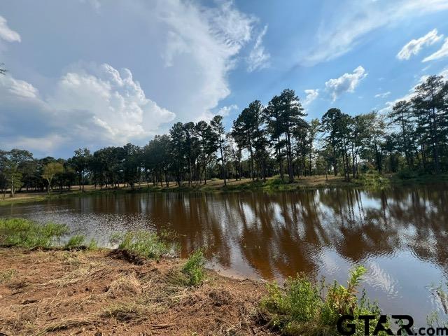 45-acre Off Watson Road Kilgore, TX 75662 - Photo 16 of 17