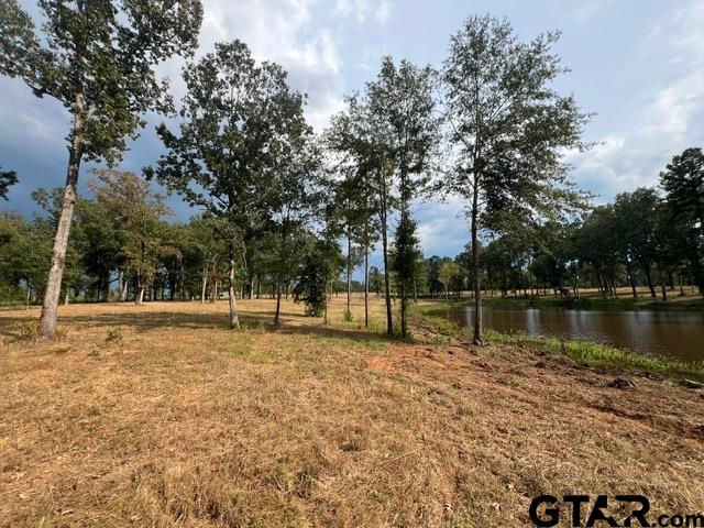 45-acre Off Watson Road Kilgore, TX 75662 - Photo 4 of 17