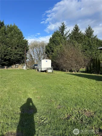 a view of yard with grass and trees