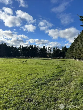 a view of yard with swimming pool and green space