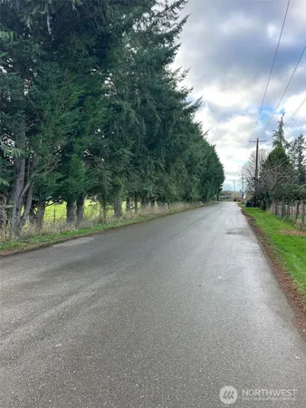a view of a road with a yard