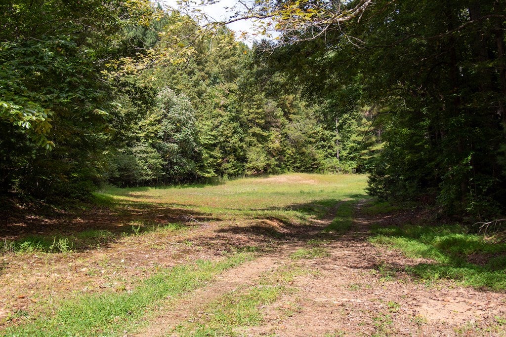 South County Line Road Patrick Springs, VA 24133 - Photo 32 of 54 Gallery Image 32