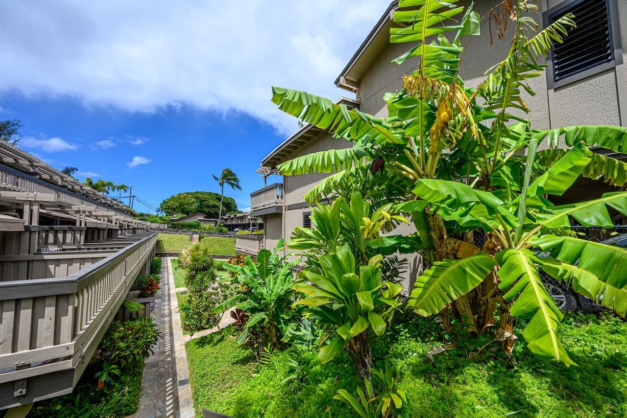 4909 Lower Honoapiilani Road, Unit D6 Lahaina, HI 96761 - Photo 47 of 47 a backyard of a house with lots of green space