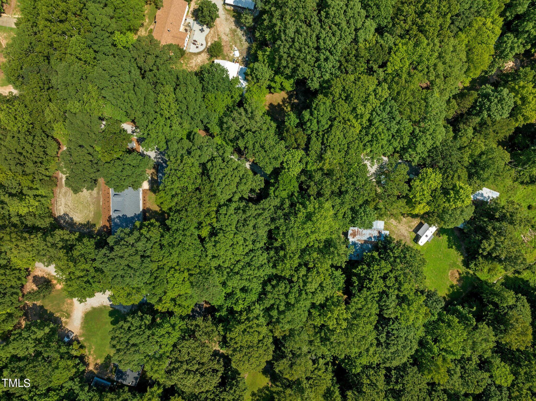 145 Ridgewood Road Youngsville, NC 27596 - Photo 42 of 44 8-web-or-mls-DJI_0140