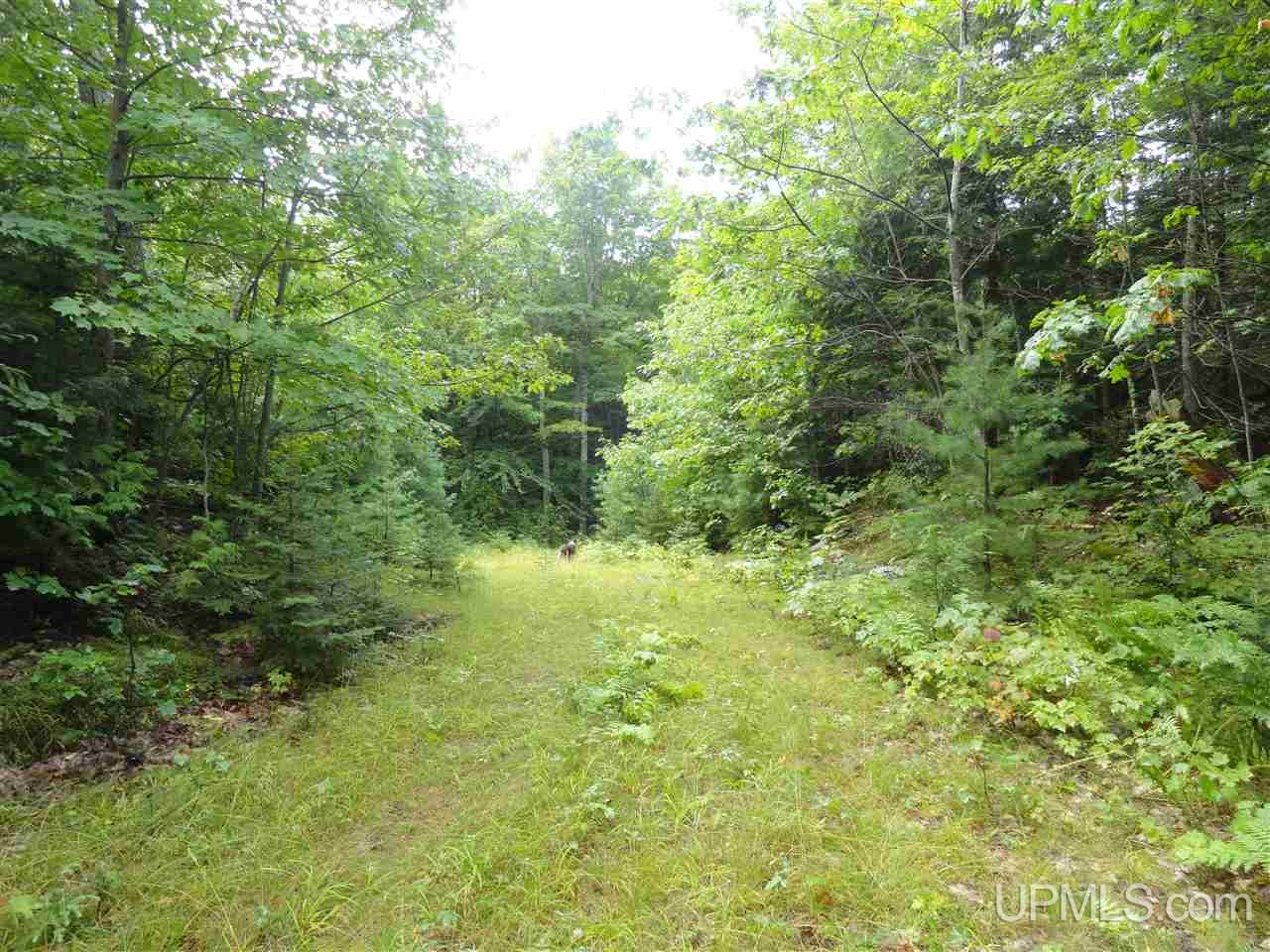 510 Rd Marquette Mi 49855 Road Negaunee, MI 49866 - Photo 9 of 26
