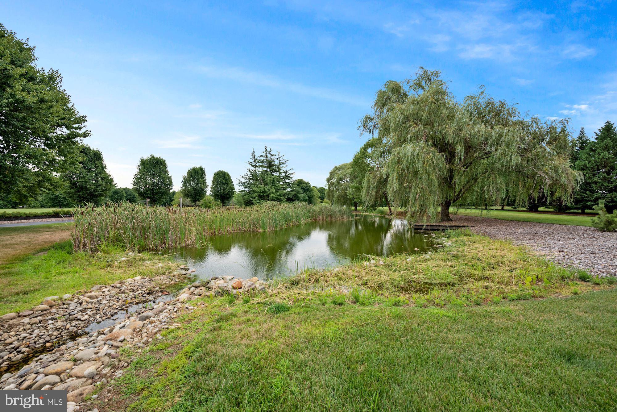 563 Buck Road Elmer, NJ 08318 - Photo 7 of 87