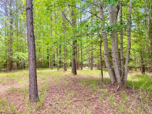 0 Pete Johnson Road Tignall, GA 30668 - Photo 20 of 43