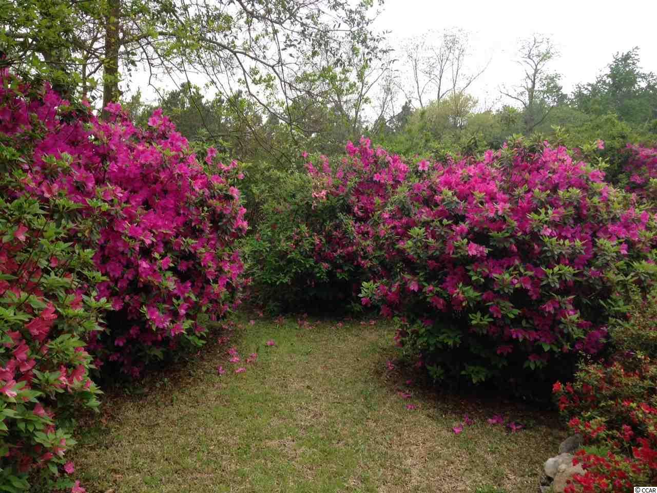 Sunset Street Loris, SC 29569 - Photo 24 of 25 Gallery Image 24